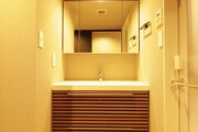 洗面台(サンワカンパニー) 洗面台(サンワカンパニー)