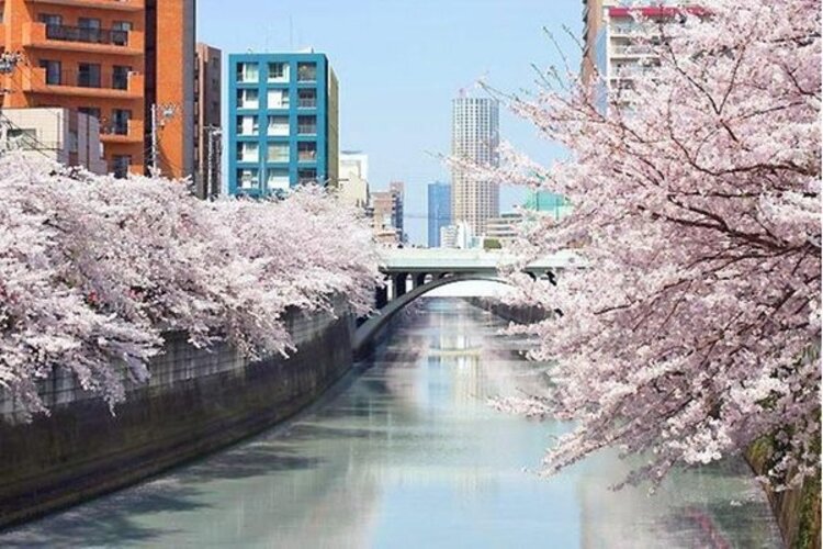その他環境写真