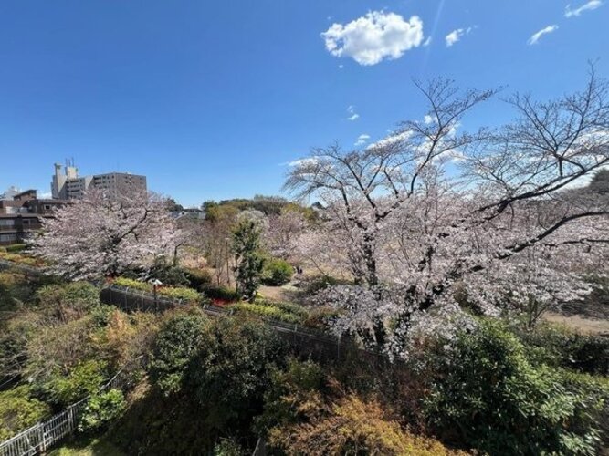 住戸からの眺望写真 住戸からの眺望写真
