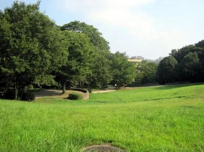 その他環境写真