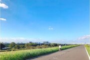 その他環境写真