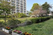 マンション敷地内中庭 マンション敷地内中庭