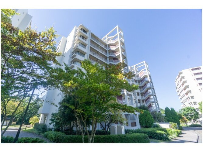 優しく迎えてくれる豊かな自然。四季の移り変わりを感じる心地よい場所となりそうです。 優しく迎えてくれる豊かな自然。四季の移り変わりを感じる心地よい場所となりそうです。