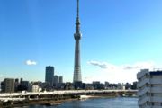 バルコニーからの眺望 バルコニーからの眺望