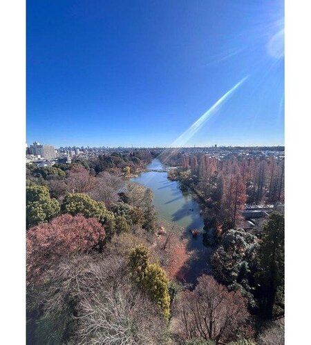 住戸からの眺望写真