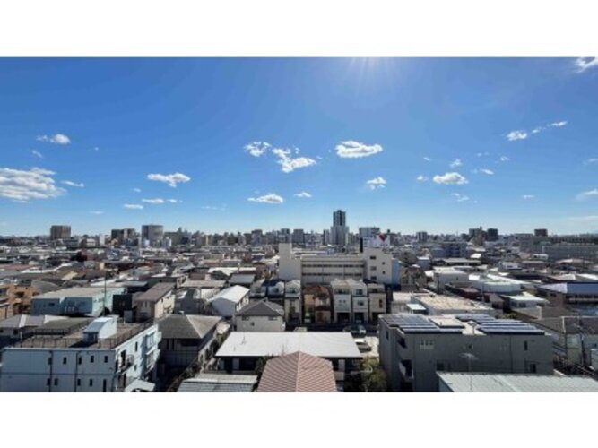 :2025年3月撮影 :2025年3月撮影