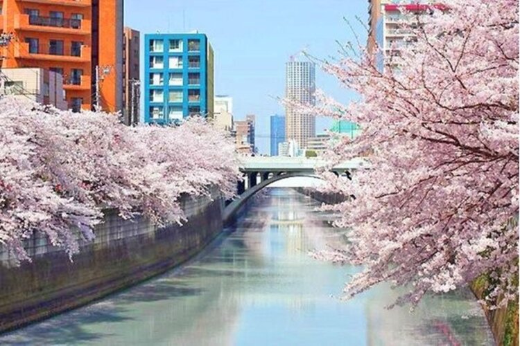 その他環境写真 その他環境写真