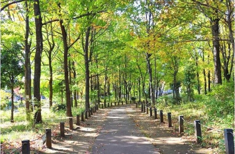 その他環境写真 その他環境写真