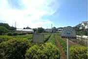 その他現地