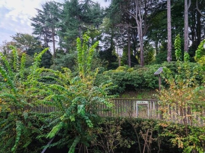 住戸からの眺望写真