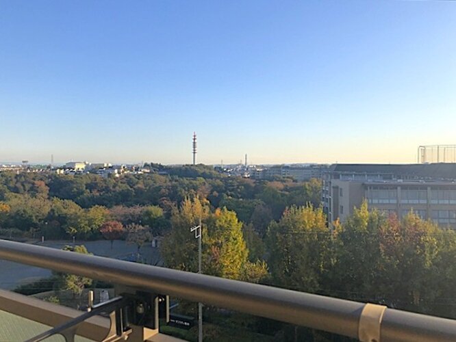 眺望 眺望