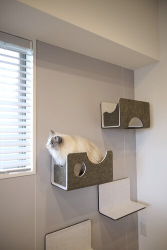 掲載中の写真にはモデルの猫を使用しており、実際の室内にはおりません。