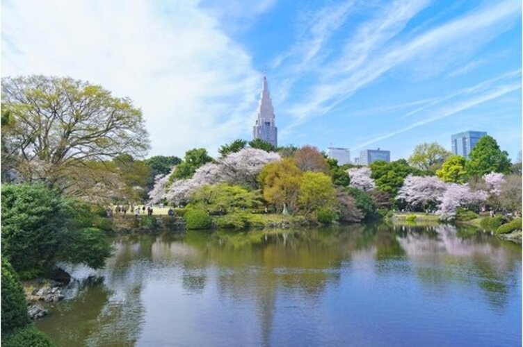 周辺の街並み