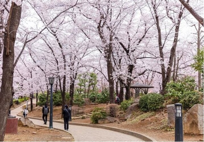 その他環境写真