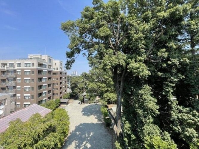 住戸からの眺望写真