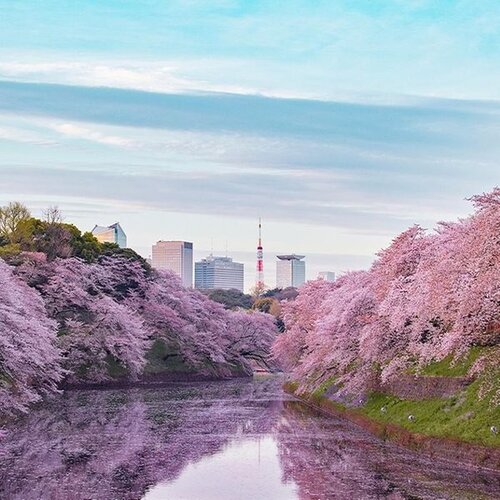 その他環境写真