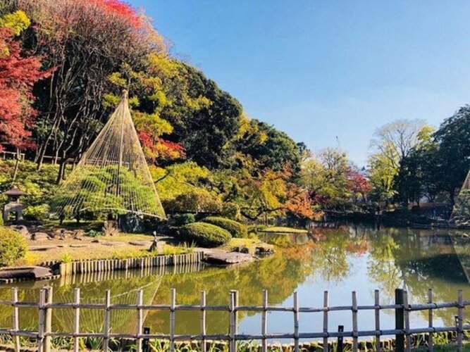 公園 公園